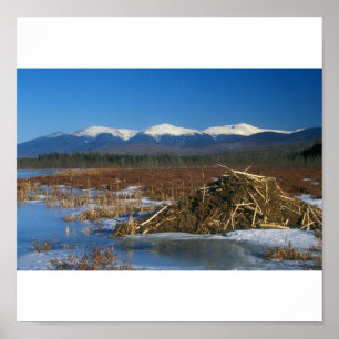 Póster Cordillera Presidencial Monte Washington Beaver Lo