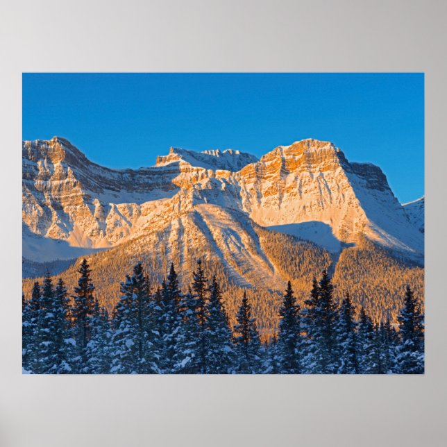 Póster Cordillera Waputik en las Montañas Rocosas canadie (Frente)