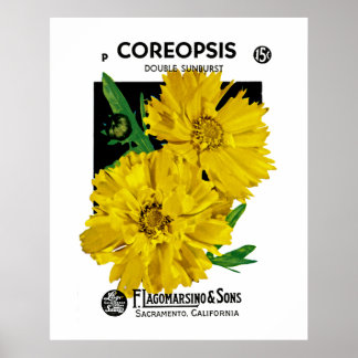 Póster Coreopsis