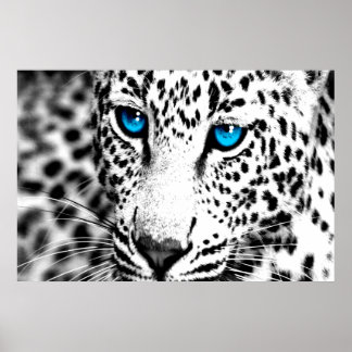 Póster Corey Tiger Leopard retro 80