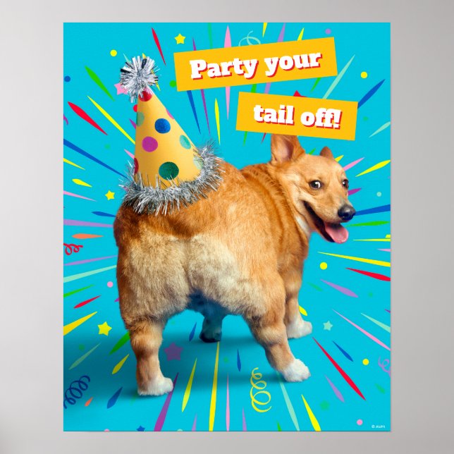 Póster Corgi Butt Birthday Hat (Frente)