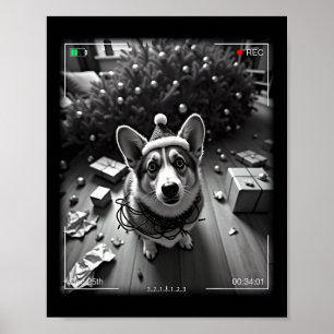Póster Corgi de Navidad Captado por la Cámara 