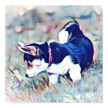 Corgi galés cachorro con cola