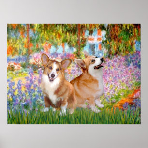 Póster Corgis galés (dos pembroke) -Jardín en Giverney