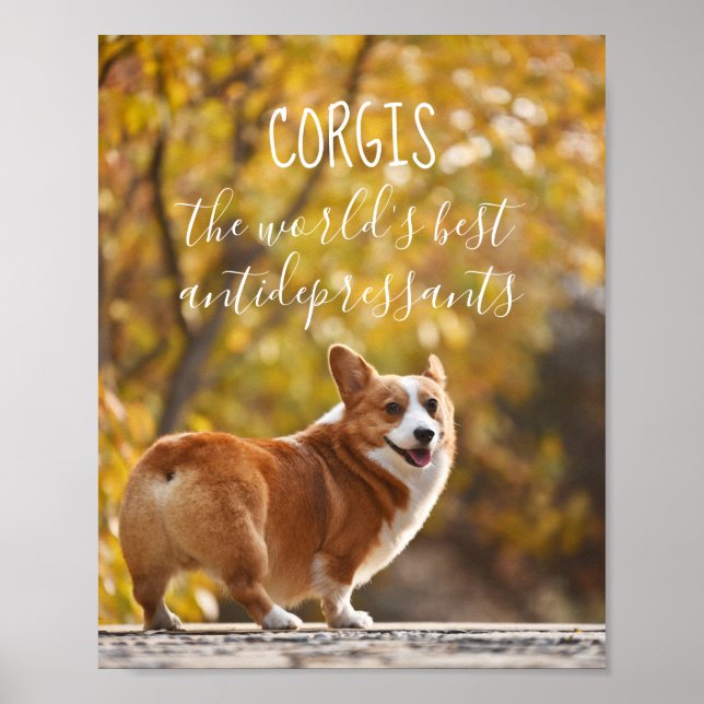Póster Corgis Los mejores antidepresivos del mundo (Frente)