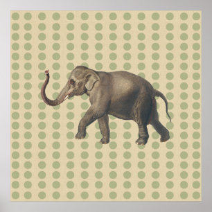 Póster Coriander Spice moods Dots with Elephant