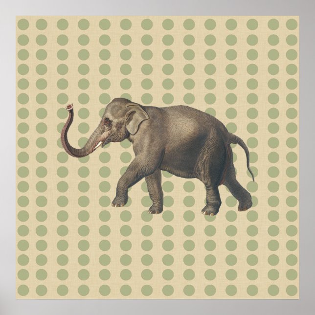 Póster Coriander Spice moods Dots with Elephant (Frente)
