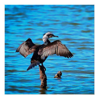 Póster Cormorant Con Alas De Esparcimiento En El Arte De
