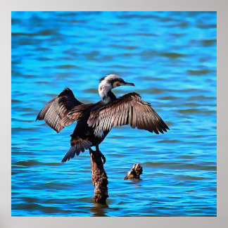Póster Cormorant With Outspread Wings On Blue Water Art