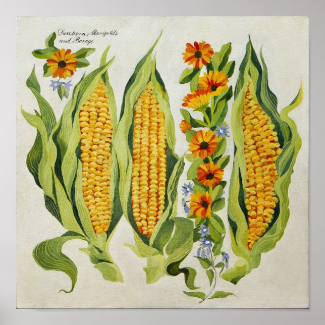 Póster Corn and marrow flowers 2014 (Frente)