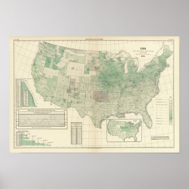 Póster Corn per acre planted (Frente)
