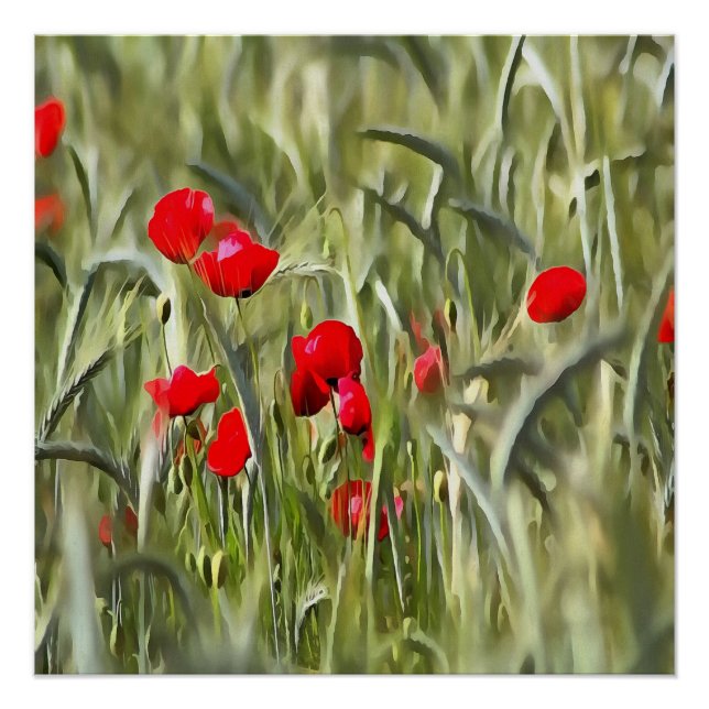 Póster Corn Poppies (Anverso)