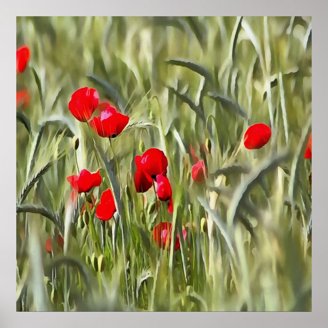 Póster Corn Poppies (Frente)
