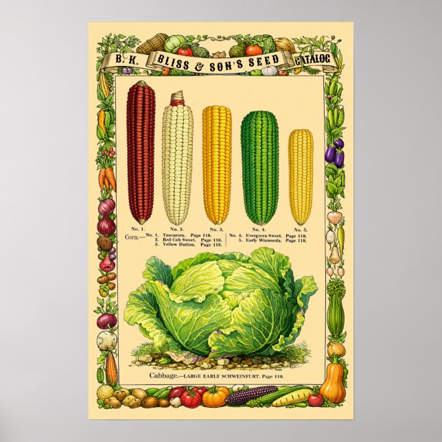 Póster Corn Retro Victorian Era Botanical Art (Frente)