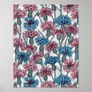 Póster Cornflores rosas y azules, flores silvestres en bl