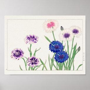 Póster Cornflower de Tanigami Konan