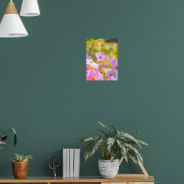 Póster Coro iluminado de rosa