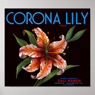 Póster Corona Lily