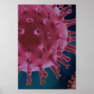 Póster Corona Virus Microbiology