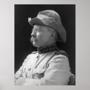 Póster Coronel Roosevelt