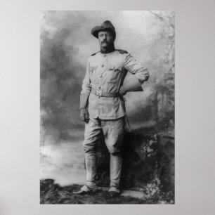 Póster Coronel Teddy Roosevelt