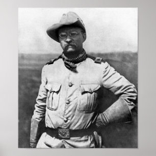 Póster Coronel Theodore Roosevelt