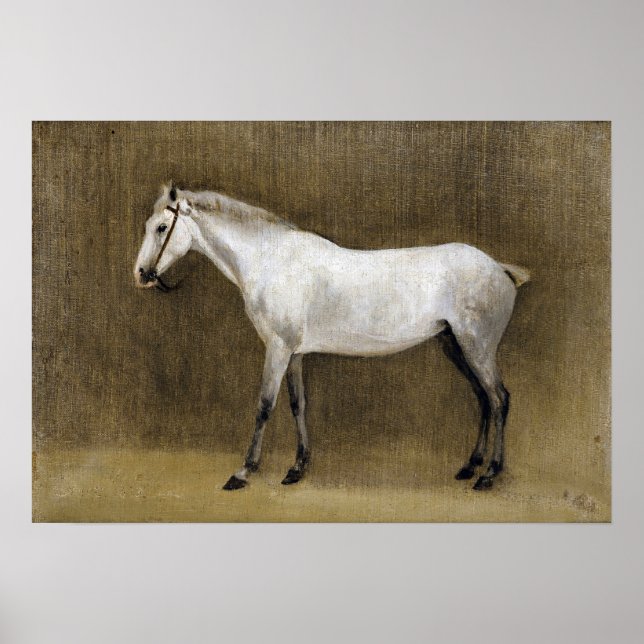 Póster Corot - Caballo gris de Apple (Frente)