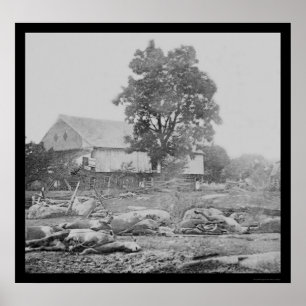 Póster Corral y caballos en Gettysburg 1863