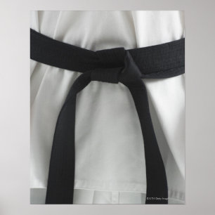 Póster Correa negra del karate