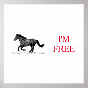 Póster Corriendo caballo blanco negro soy libertad