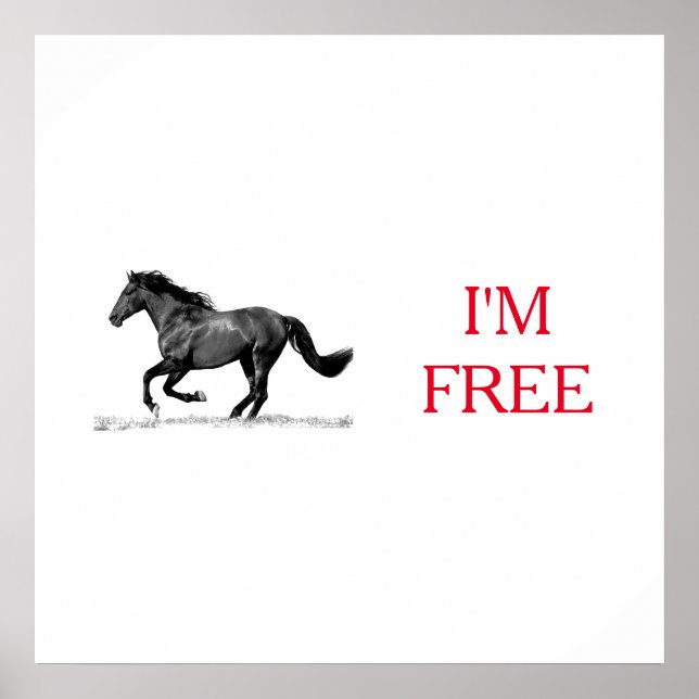 Póster Corriendo caballo blanco negro soy libertad (Frente)
