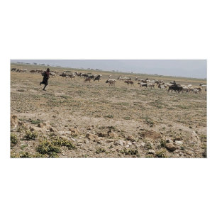 Póster Corriendo el Serengeti