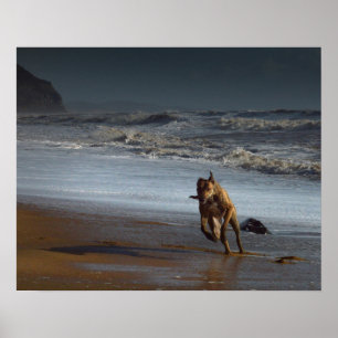 Póster Corriendo Lurcher en la playa