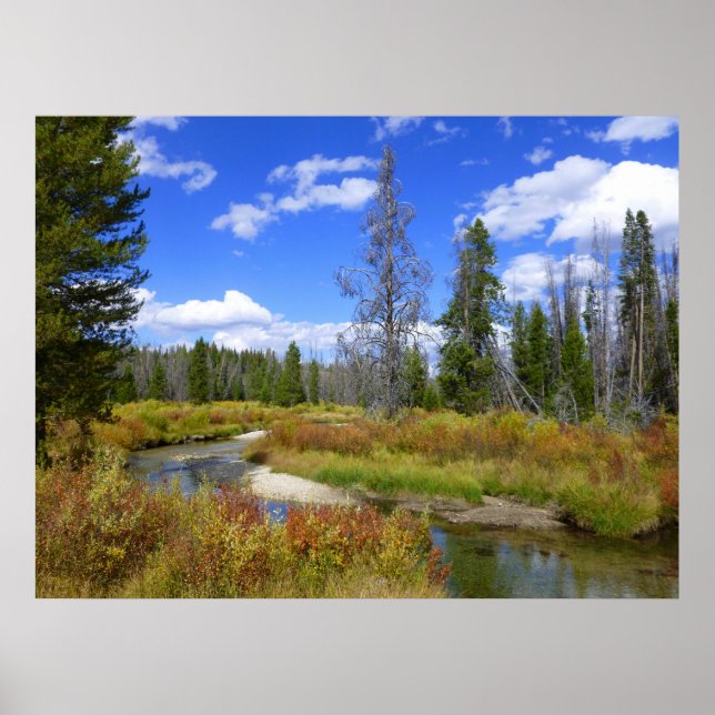 Póster Corriente cerca del lago Redfish, Idaho. (Frente)