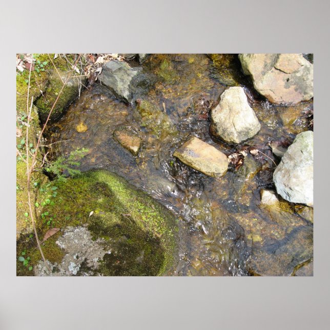 Póster corriente de conciencia (Frente)