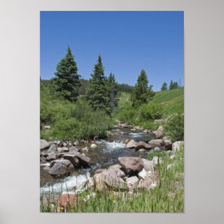 Póster Corriente de Montaña de Colorado