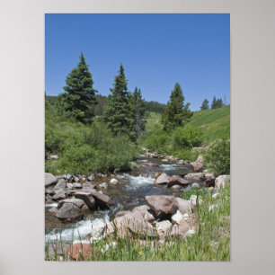 Póster Corriente de Montaña de Colorado