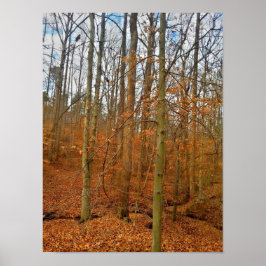 Póster Corriente de otoño