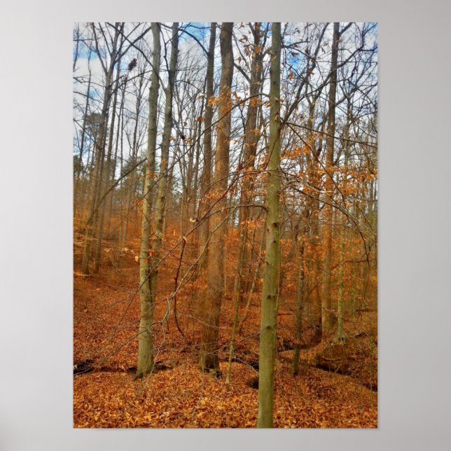 Póster Corriente de otoño (Frente)