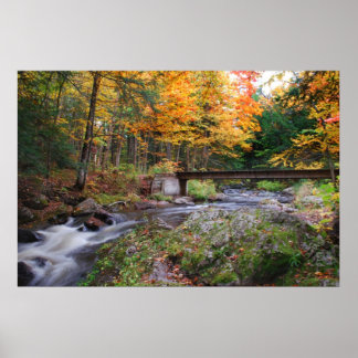 Póster Corriente de otoño