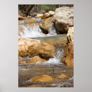 Póster Corriente tormentosa en primavera