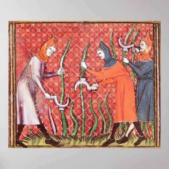 Póster Cortando árboles, de Ovide Moralize (Frente)