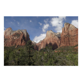 Póster Corte de los Patriarcas II en el Parque Nacional Z