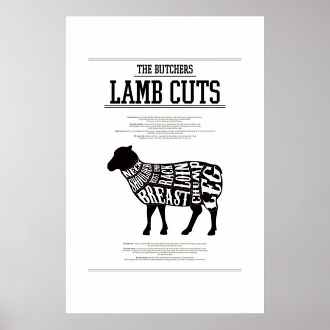 PÓSTER CORTES DE LAMB, POSTER (Frente)