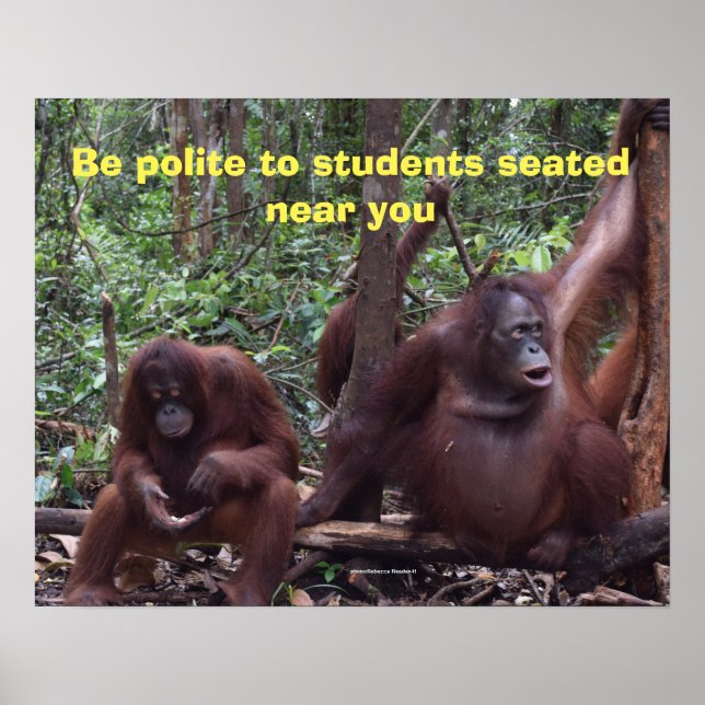 Póster Cortesía de la regla de clase cute (Frente)