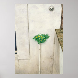 Póster Corydalis lutea