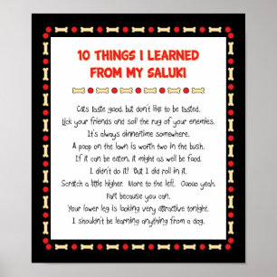 Póster Cosas divertidas I aprendido de mi Saluki