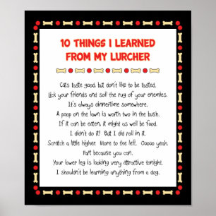 Póster Cosas Graciosas Que Aprendí De Mi Lurcher