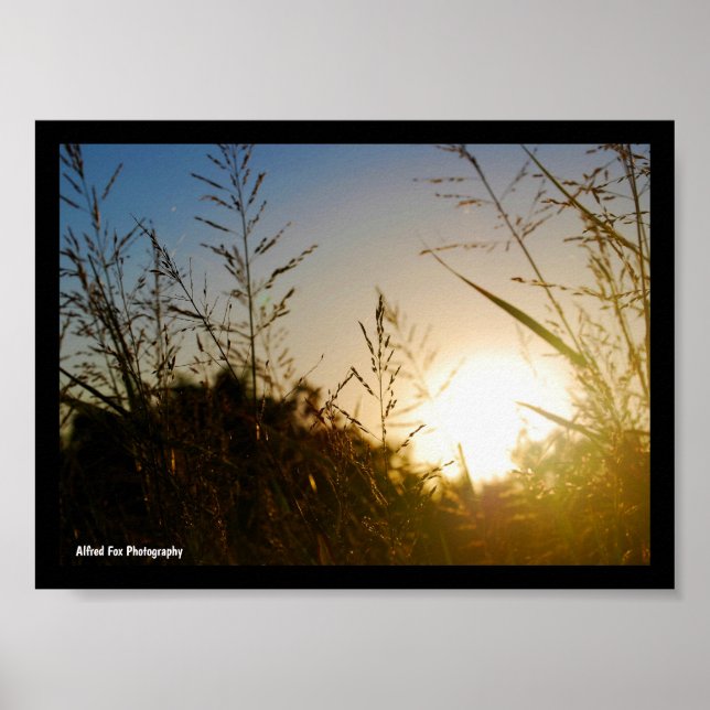 Póster Cosecha Amanecer (Frente)