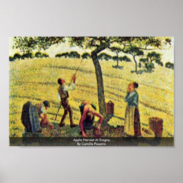 Póster Cosecha De Apple En Eragny, Por Camille Pissarro (Frente)